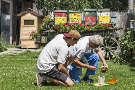 Beeswax: A Natural Treasure and Its Secrets