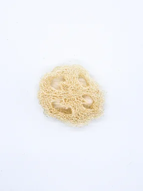 Loofah