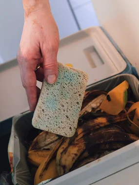 Eco-friendly plastic-free sponge (2 pcs)