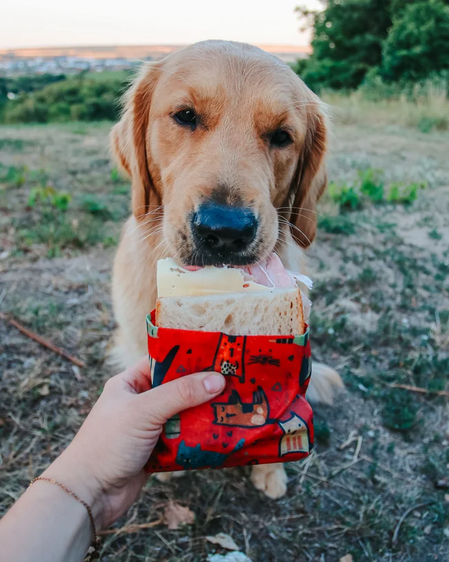 Waxopack L - Animals