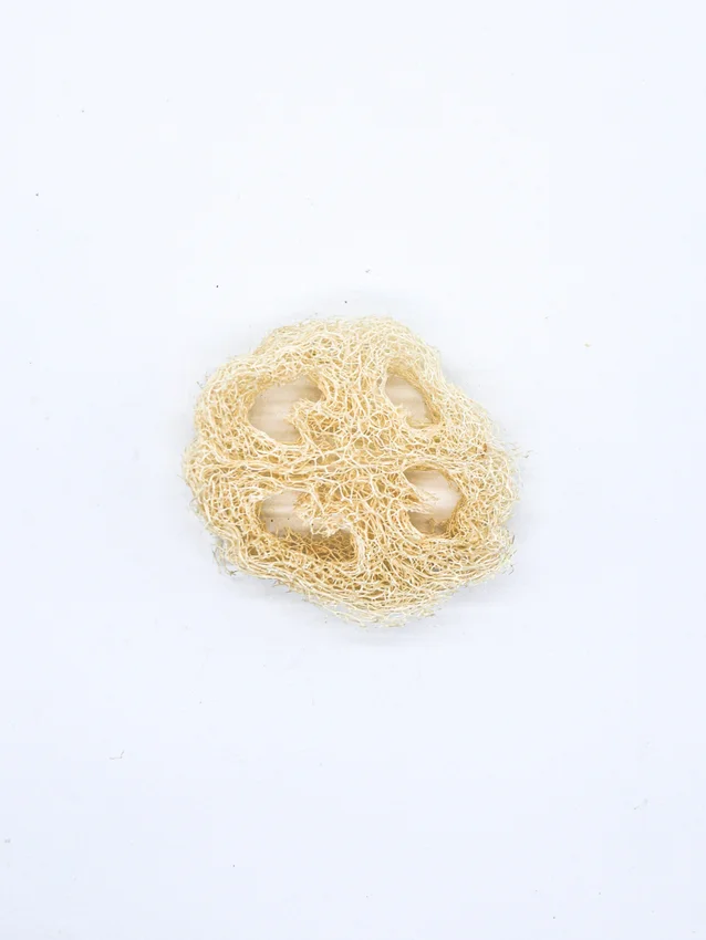 Loofah