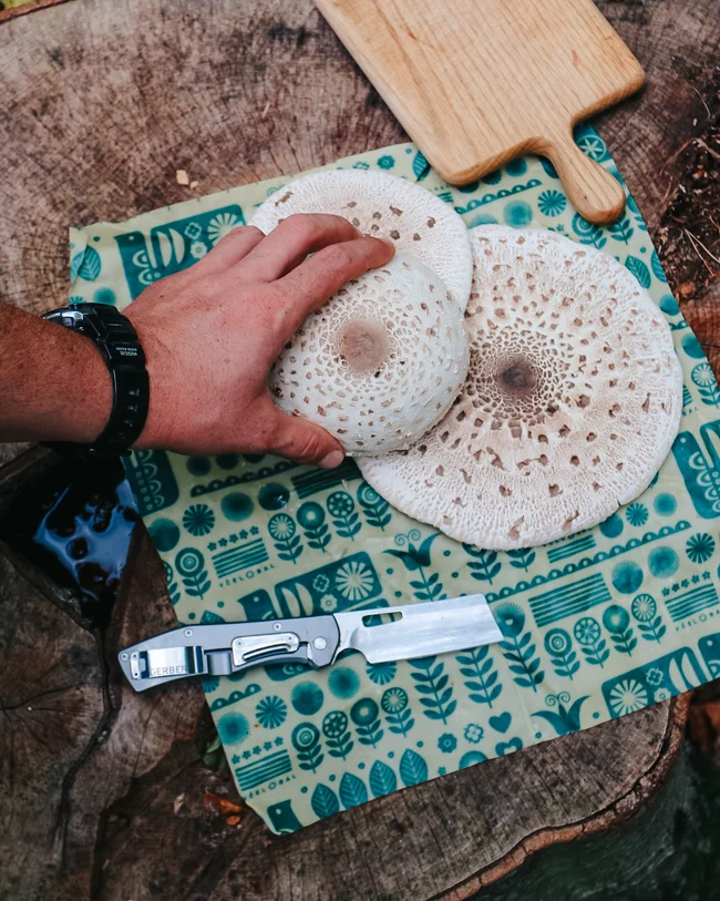 Waxopack L - Blooming