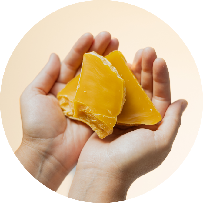 Slovak beeswax